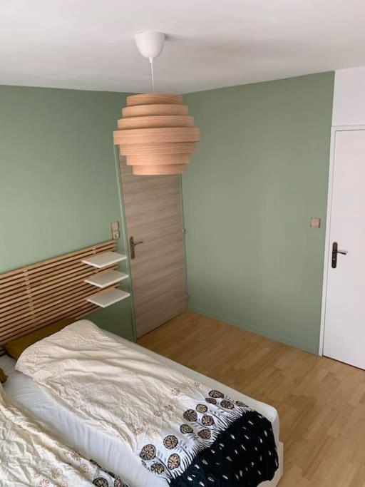 Grand Appartement - Nancy Centre - 2 Chambres 2 Lits エクステリア 写真